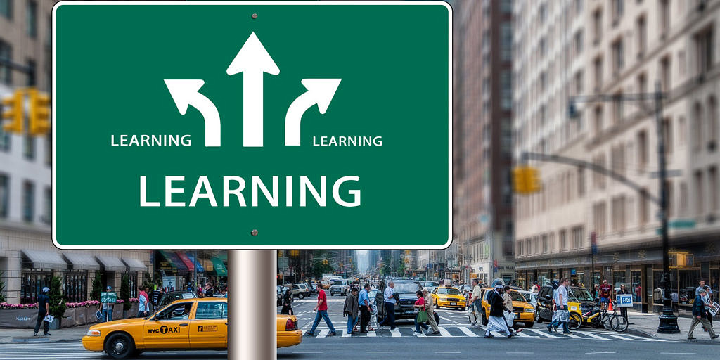 Studiengänge und -ordnungen